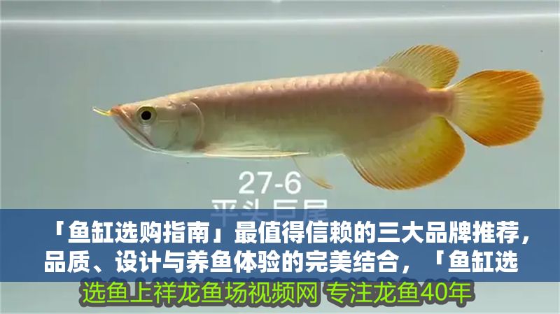「魚缸選購指南」最值得信賴的三大品牌推薦，品質、設計與養魚體驗的完美結合，「魚缸選購指南，三大信賴品牌推薦，品質設計與養魚體驗兼具」