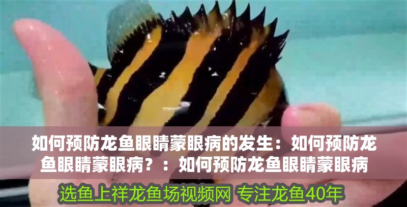 如何預(yù)防龍魚(yú)眼睛蒙眼病的發(fā)生：如何預(yù)防龍魚(yú)眼睛蒙眼病？：如何預(yù)防龍魚(yú)眼睛蒙眼病