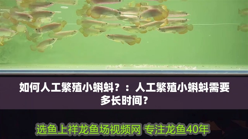 如何人工繁殖小蝌蚪？：人工繁殖小蝌蚪需要多長時間？