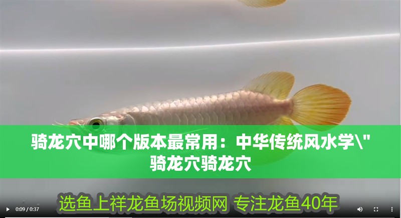 騎龍穴中哪個版本最常用：中華傳統風水學\