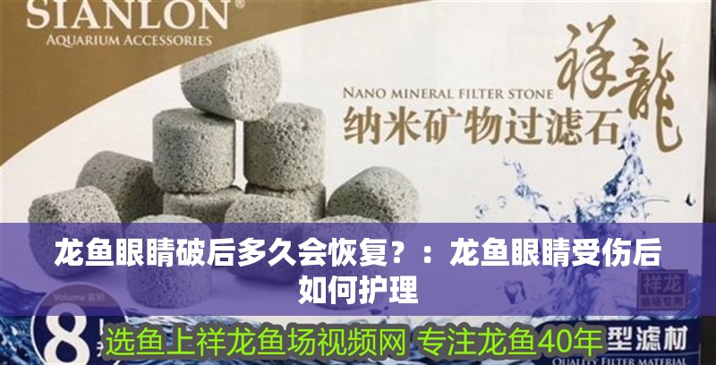 龍魚眼睛破后多久會恢復？：龍魚眼睛受傷后如何護理