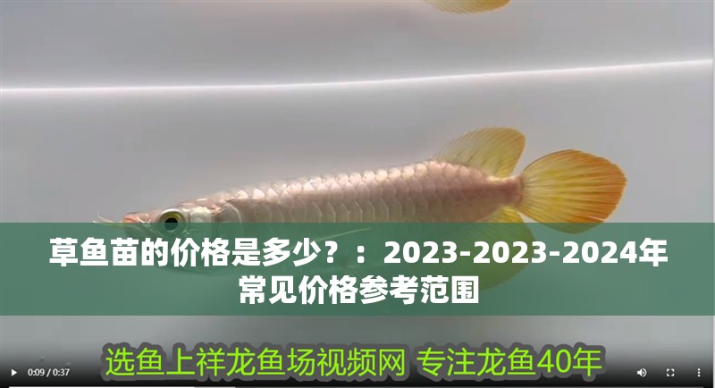 草魚苗的價格是多少？：2023-2023-2024年常見價格參考范圍