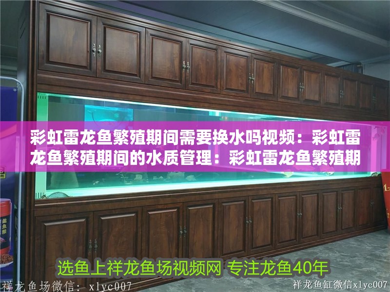 彩虹雷龍魚繁殖期間需要換水嗎視頻：彩虹雷龍魚繁殖期間的水質(zhì)管理：彩虹雷龍魚繁殖期水質(zhì)管理