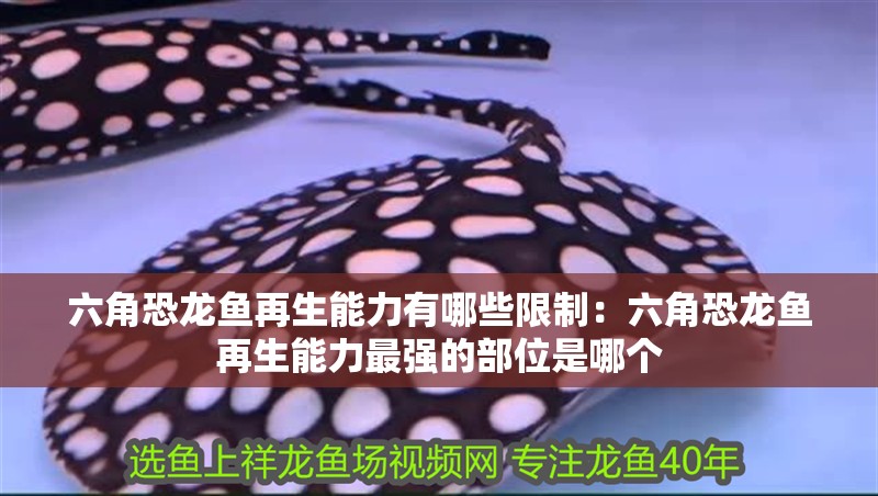 六角恐龍魚再生能力有哪些限制：六角恐龍魚再生能力最強的部位是哪個