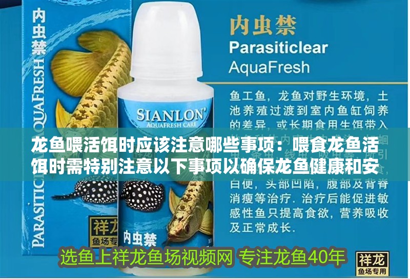 龍魚喂活餌時應(yīng)該注意哪些事項：喂食龍魚活餌時需特別注意以下事項以確保龍魚健康和安全