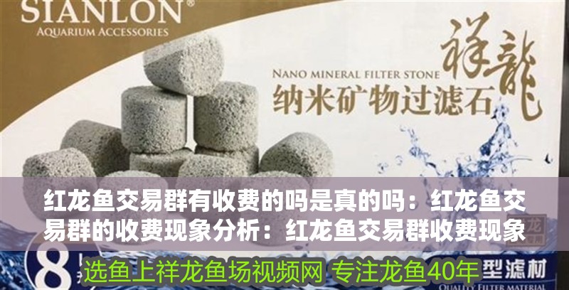 紅龍魚交易群有收費的嗎是真的嗎：紅龍魚交易群的收費現象分析：紅龍魚交易群收費現象的存在收費現象是否存在收費現象