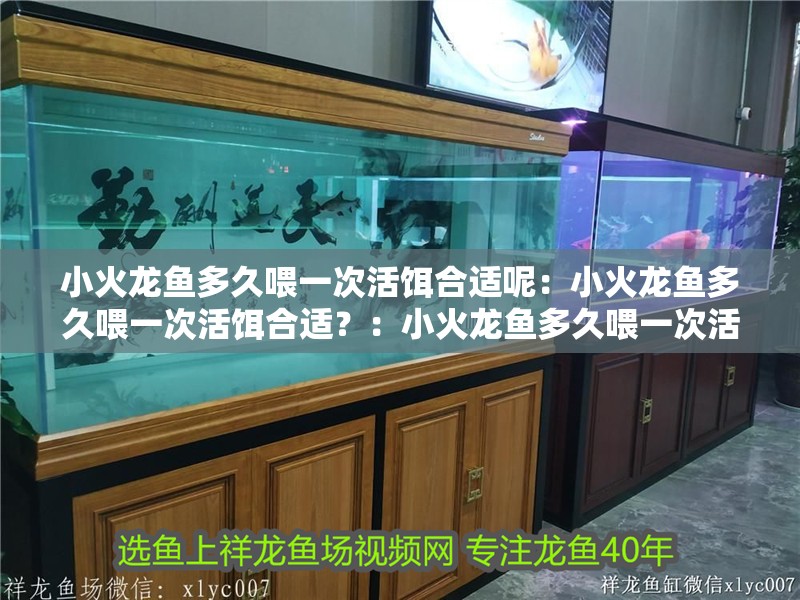小火龍魚多久喂一次活餌合適呢：小火龍魚多久喂一次活餌合適？：小火龍魚多久喂一次活餌
