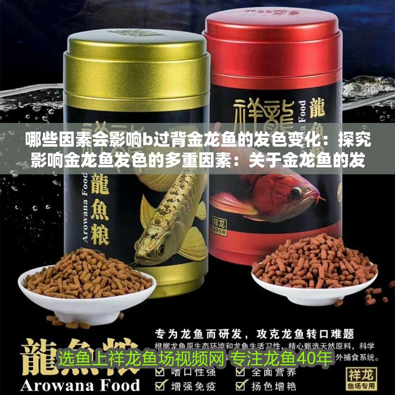 哪些因素會影響b過背金龍魚的發色變化：探究影響金龍魚發色的多重因素：關于金龍魚的發色問題