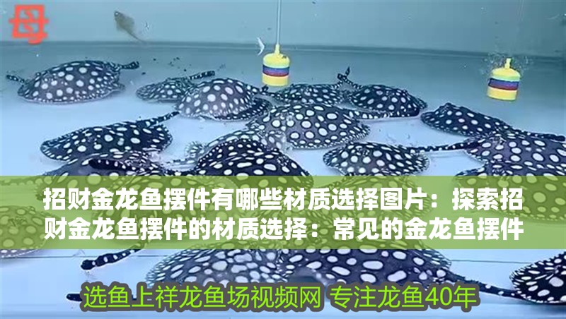 招財金龍魚擺件有哪些材質選擇圖片：探索招財金龍魚擺件的材質選擇：常見的金龍魚擺件材質選擇