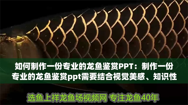 如何制作一份專業的龍魚鑒賞PPT：制作一份專業的龍魚鑒賞ppt需要結合視覺美感、知識性和邏輯性 如何制作一份專業的龍魚鑒賞PPT：制作一份專業的龍魚鑒賞ppt需要結合視覺美感、知識性和邏輯性 龍魚百科