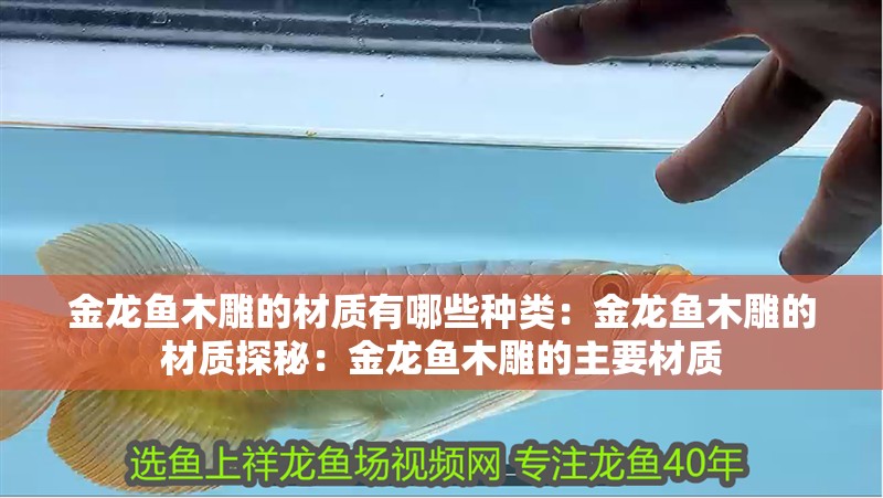 金龍魚木雕的材質有哪些種類：金龍魚木雕的材質探秘：金龍魚木雕的主要材質
