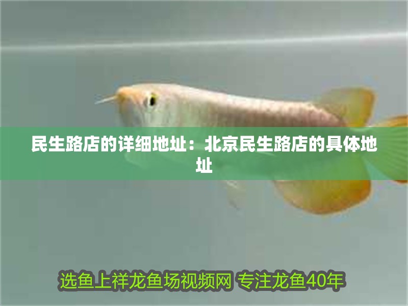 民生路店的詳細地址：<strong><mark>北京</mark></strong>民生路店的具體地址