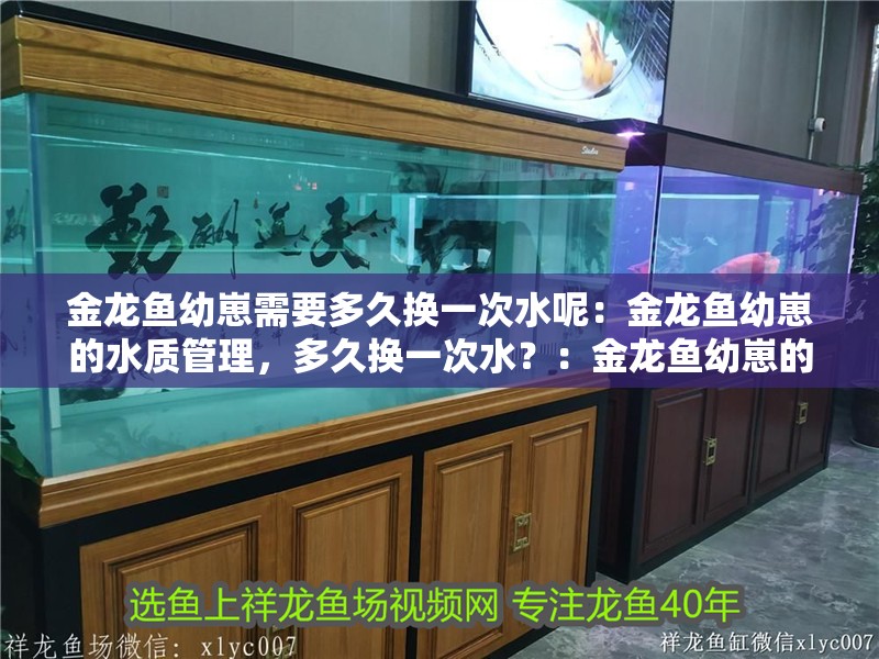 金龍魚幼崽需要多久換一次水呢：金龍魚幼崽的水質(zhì)管理，多久換一次水？：金龍魚幼崽的水質(zhì)管理