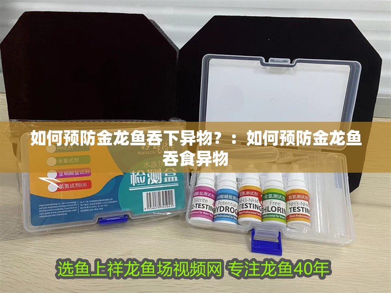 如何預防金龍魚吞下異物？：如何預防金龍魚吞食異物