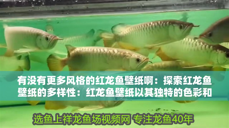 有沒有更多風格的紅龍魚壁紙啊：探索紅龍魚壁紙的多樣性：紅龍魚壁紙以其獨特的色彩和圖案吸引了眾多愛好者的寧靜與美好