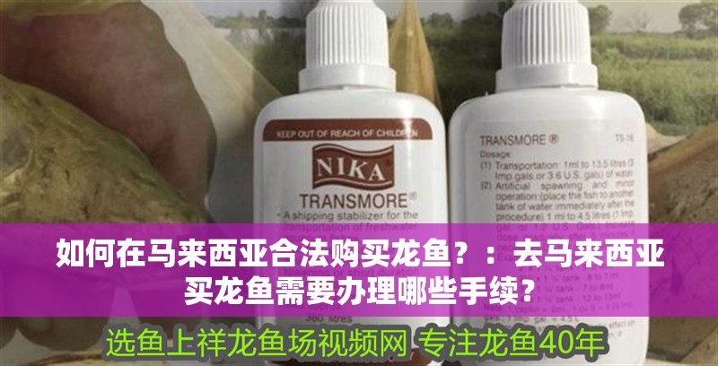 如何在馬來西亞合法購買龍魚？：去馬來西亞買龍魚需要辦理哪些手續？