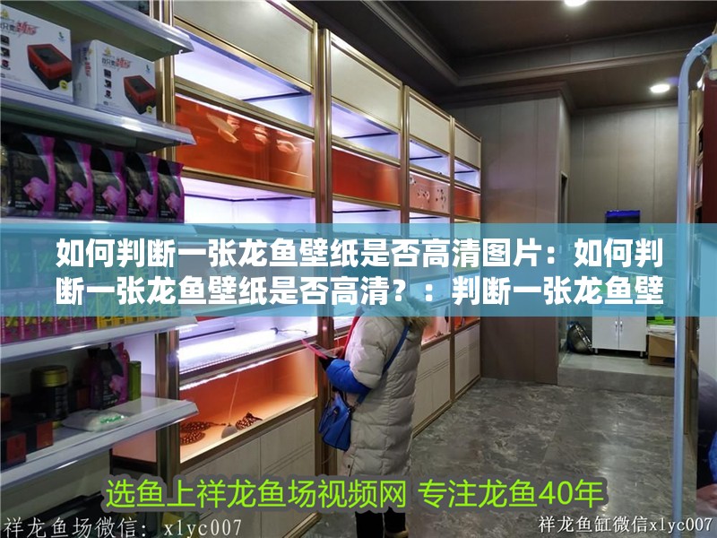 如何判斷一張龍魚壁紙是否高清圖片：如何判斷一張龍魚壁紙是否高清？：判斷一張龍魚壁紙是否高清壁紙是否高清的關鍵因素