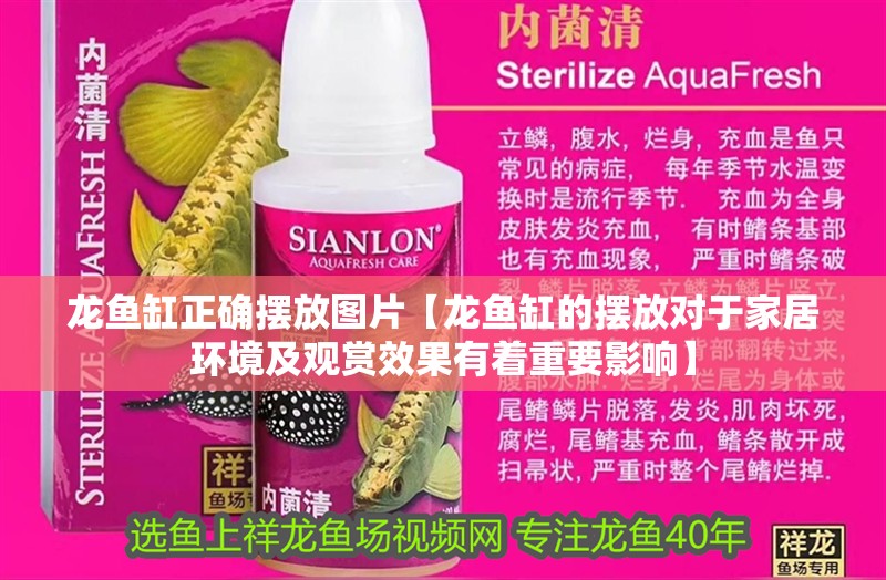 龍魚缸正確擺放圖片【龍魚缸的擺放對于家居環境及觀賞效果有著重要影響】