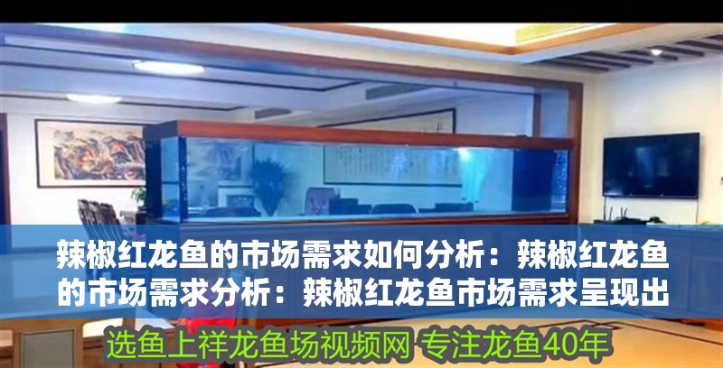 辣椒紅龍魚的市場(chǎng)需求如何分析：辣椒紅龍魚的市場(chǎng)需求分析：辣椒紅龍魚市場(chǎng)需求呈現(xiàn)出穩(wěn)步上升的趨勢(shì)，辣椒紅龍魚市場(chǎng)需求