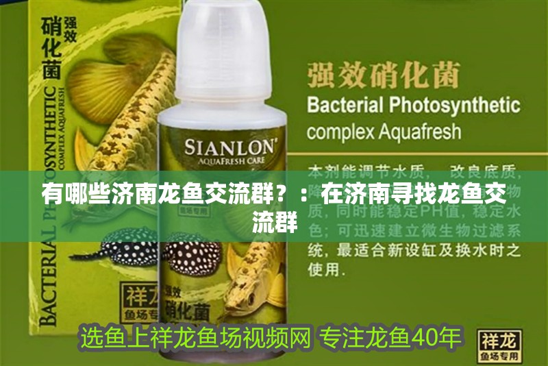 有哪些濟南龍魚交流群？：在濟南尋找龍魚交流群