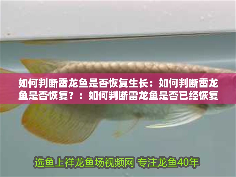 如何判斷雷龍魚是否恢復生長：如何判斷雷龍魚是否恢復？：如何判斷雷龍魚是否已經恢復健康