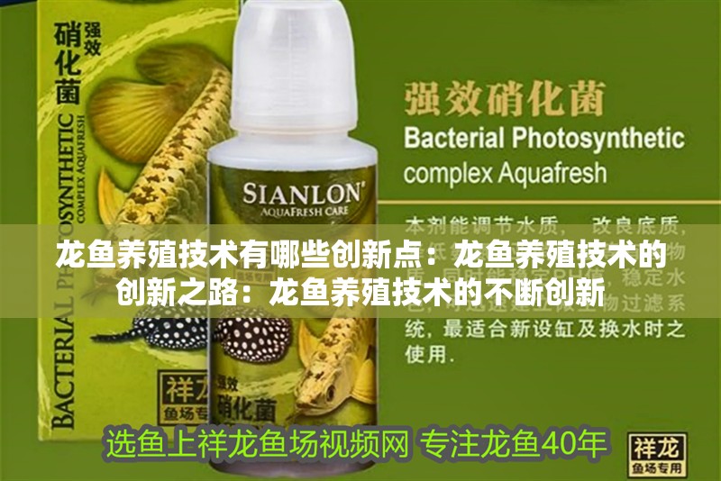 龍魚養殖技術有哪些創新點：龍魚養殖技術的創新之路：龍魚養殖技術的不斷創新