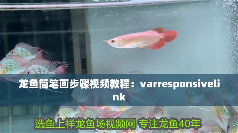 龍魚簡筆畫步驟視頻教程：varresponsivelink