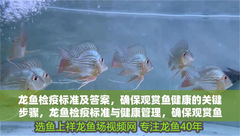 龍魚檢疫標準及答案，確保觀賞魚健康的關(guān)鍵步驟，龍魚檢疫標準與健康管理，確保觀賞魚健康的關(guān)鍵步驟 龍魚檢疫標準及答案，確保觀賞魚健康的關(guān)鍵步驟，龍魚檢疫標準與健康管理，確保觀賞魚健康的關(guān)鍵步驟 龍魚常見疾病 第1張