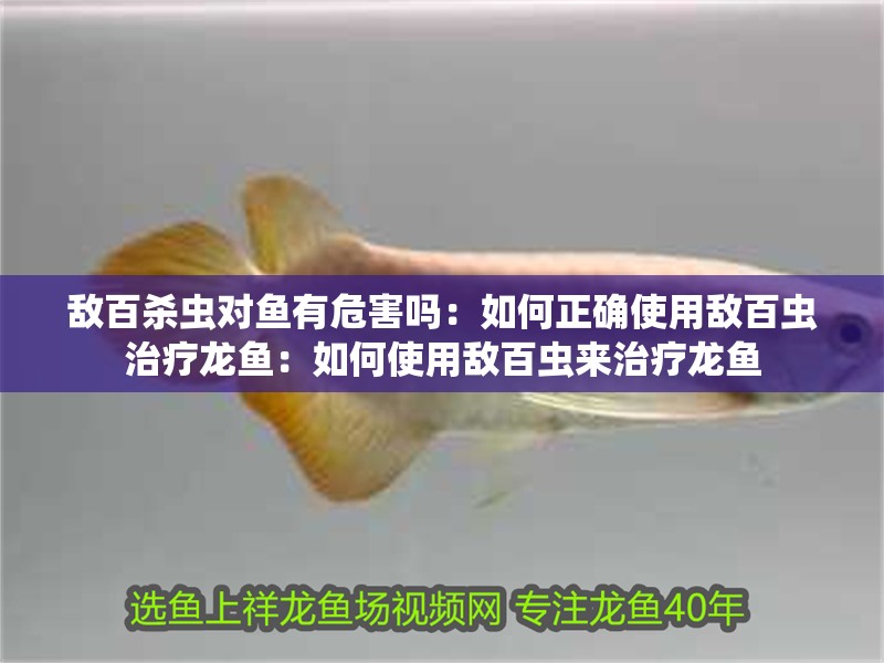 敵百殺蟲對魚有危害嗎：如何正確使用敵百蟲治療龍魚：如何使用敵百蟲來治療龍魚