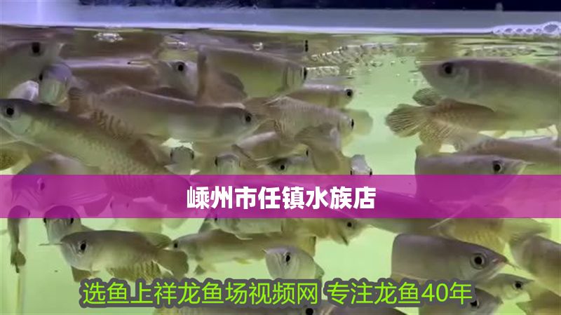 嵊州市任鎮(zhèn)水族店 嵊州市任鎮(zhèn)水族店 全國水族館企業(yè)名錄 第1張