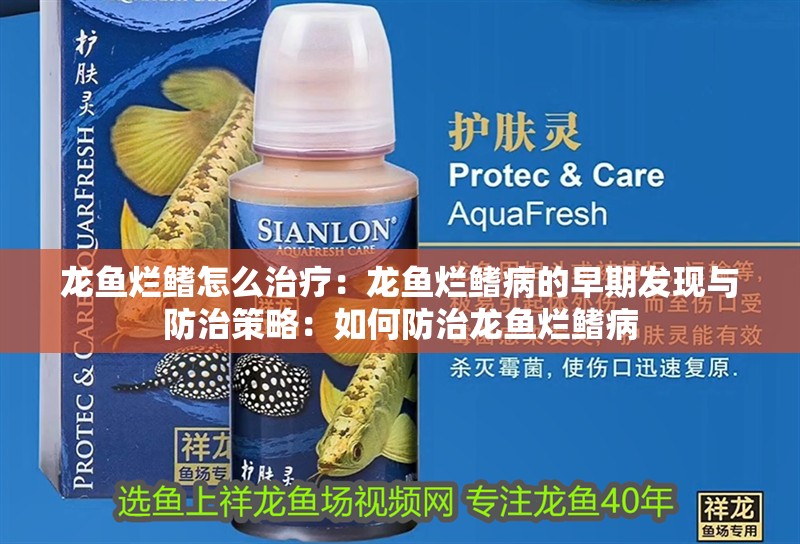 龍魚爛鰭怎么治療：龍魚爛鰭病的早期發現與防治策略：如何防治龍魚爛鰭病