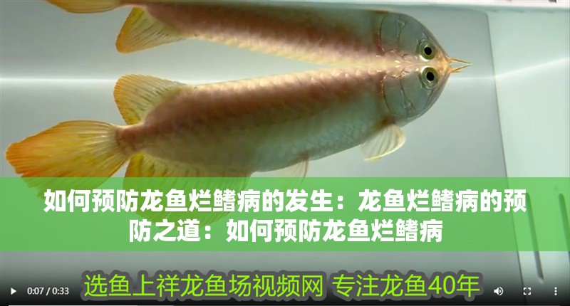 如何預防龍魚爛鰭病的發生：龍魚爛鰭病的預防之道：如何預防龍魚爛鰭病