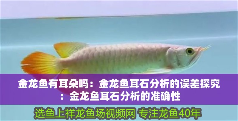 金龍魚有耳朵嗎：金龍魚耳石分析的誤差探究：金龍魚耳石分析的準確性