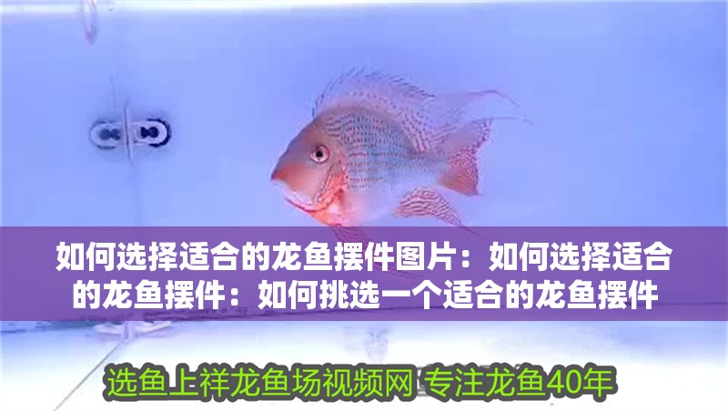 如何選擇適合的龍魚擺件圖片：如何選擇適合的龍魚擺件：如何挑選一個(gè)適合的龍魚擺件