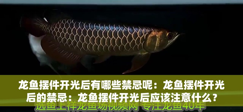 龍魚擺件開光后有哪些禁忌呢：龍魚擺件開光后的禁忌：龍魚擺件開光后應該注意什么？