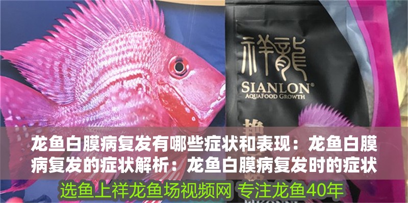 龍魚白膜病復發有哪些癥狀和表現：龍魚白膜病復發的癥狀解析：龍魚白膜病復發時的癥狀表現