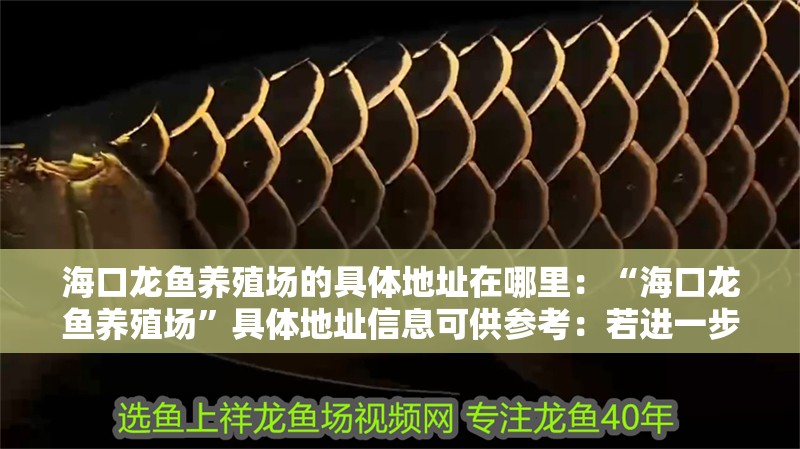 ?？邶堲~養(yǎng)殖場的具體地址在哪里：“?？邶堲~養(yǎng)殖場”具體地址信息可供參考：若進(jìn)一步確認(rèn) ?？邶堲~養(yǎng)殖場的具體地址在哪里：“海口龍魚養(yǎng)殖場”具體地址信息可供參考：若進(jìn)一步確認(rèn) 龍魚百科