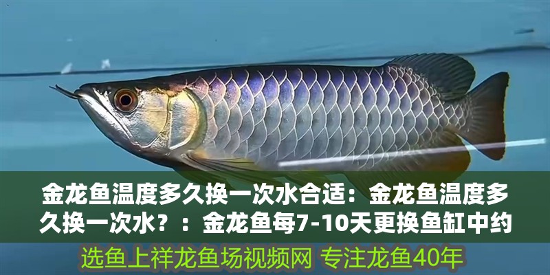 金龍魚溫度多久換一次水合適：金龍魚溫度多久換一次水？：金龍魚每7-10天更換魚缸中約20%的水是合適的