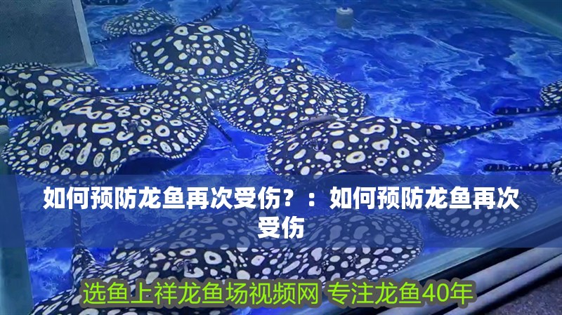 如何預防龍魚再次受傷？：如何預防龍魚再次受傷