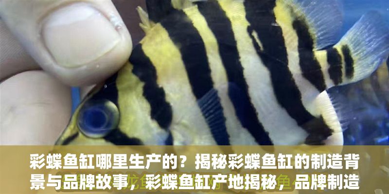 彩蝶魚缸哪里生產的?揭秘彩蝶魚缸的制造背景與品牌故事,彩蝶魚缸產地揭秘,品牌制造背景與故事全解析