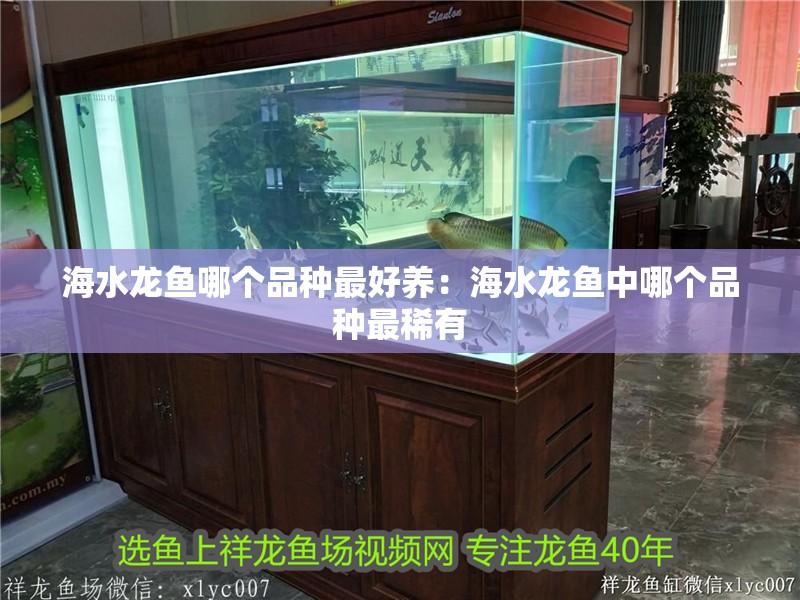 海水龍魚哪個品種最好養(yǎng)：海水龍魚中哪個品種最稀有