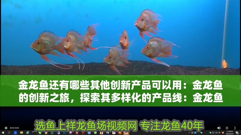 金龍魚還有哪些其他創新產品可以用：金龍魚的創新之旅，探索其多樣化的產品線：金龍魚的健康營養產品 金龍魚還有哪些其他創新產品可以用：金龍魚的創新之旅，探索其多樣化的產品線：金龍魚的健康營養產品 水族問答