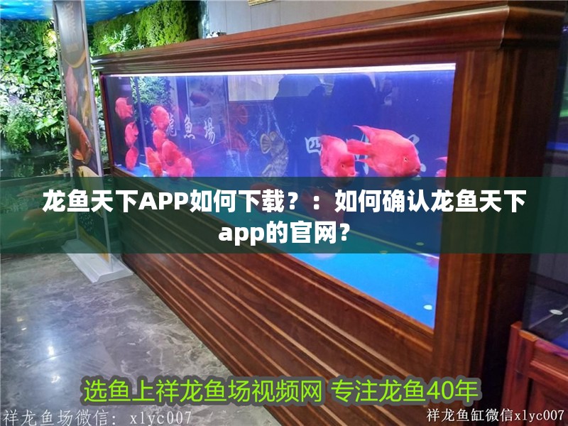 龍魚天下APP如何下載？：如何確認龍魚天下app的官網？