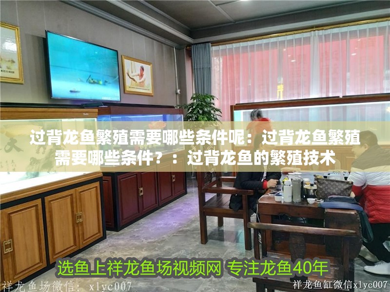 過背龍魚繁殖需要哪些條件呢：過背龍魚繁殖需要哪些條件？：過背龍魚的繁殖技術