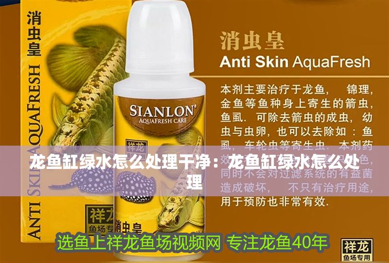 龍魚缸綠水怎么處理干凈：龍魚缸綠水怎么處理 龍魚缸綠水怎么處理干凈：龍魚缸綠水怎么處理 龍魚百科 第2張