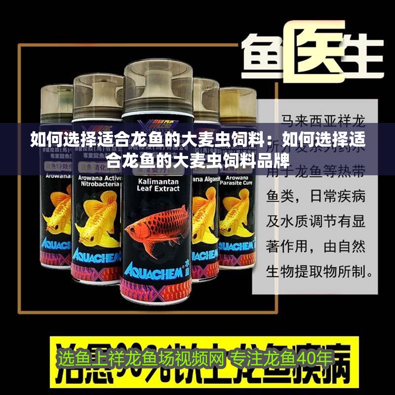 魚缸造景先放沙還是先放水(魚缸造景先鋪沙還是先放石頭) 如何選擇適合龍魚的大麥蟲飼料:如何選擇適合龍魚的大麥蟲飼料品牌 龍魚百科 如何選擇適合龍魚的大麥蟲飼料:如何選擇適合龍魚的大麥蟲飼料品牌 如何選擇適合龍魚的大麥蟲飼料:如何選擇適合龍魚的大麥蟲飼料品牌 龍魚百科