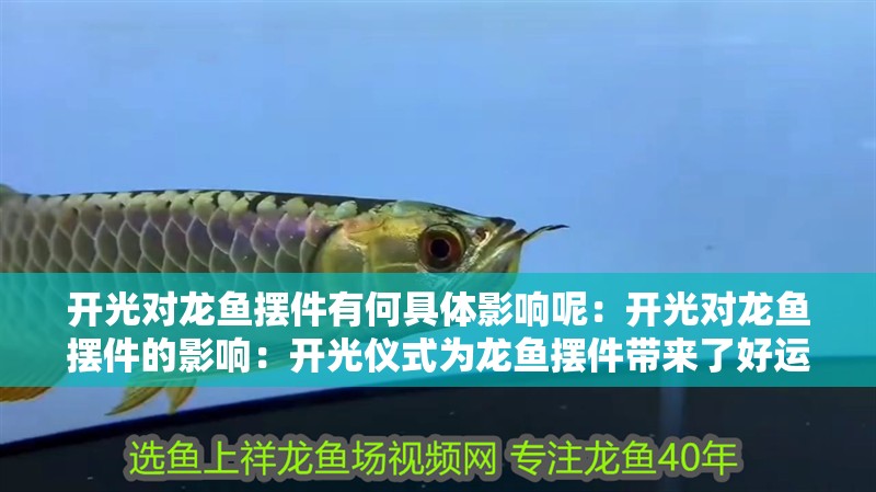 開光對龍魚擺件有何具體影響呢：開光對龍魚擺件的影響：開光儀式為龍魚擺件帶來了好運和財富和好運和財富的寶物