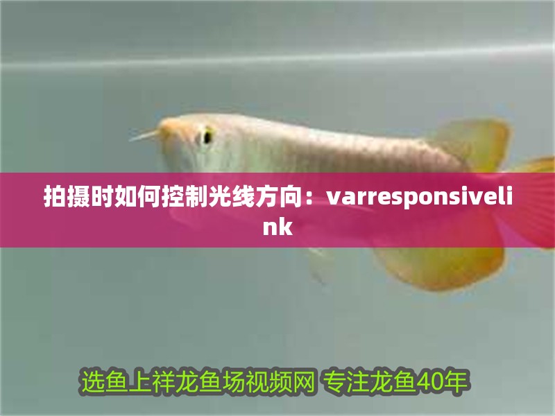 拍攝時如何控制光線方向：varresponsivelink