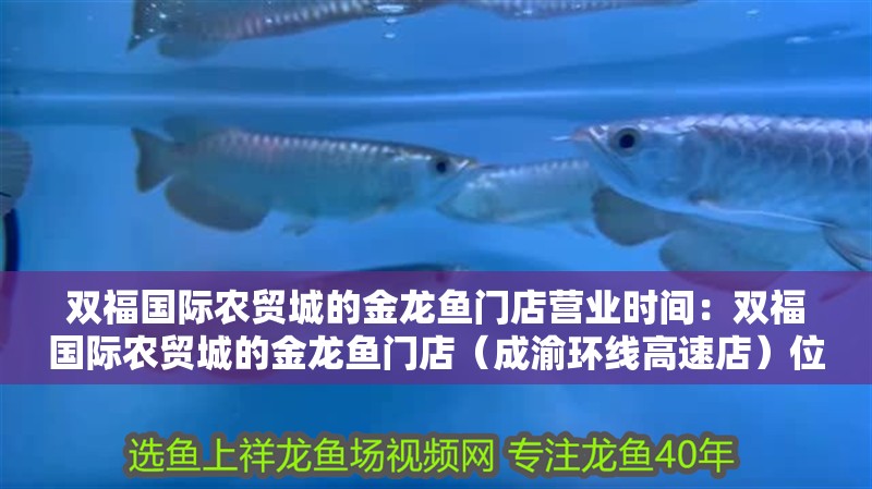 魚缸用增氧泵價(jià)格是多少:魚缸增氧機(jī)-xtrac增氧機(jī)-xtrac增氧機(jī) 雙福國際農(nóng)貿(mào)城的金龍魚門店?duì)I業(yè)時(shí)間:雙福國際農(nóng)貿(mào)城的金龍魚門店(成渝環(huán)線高速店)位于江津區(qū)成渝環(huán)線高速店 龍魚百科 雙福國際農(nóng)貿(mào)城的金龍魚門店?duì)I業(yè)時(shí)間:雙福國際農(nóng)貿(mào)城的金龍魚門店(成渝環(huán)線高速店)位于江津區(qū)成渝環(huán)線高速店 雙福國際農(nóng)貿(mào)城的金龍魚門店?duì)I業(yè)時(shí)間:雙福國際農(nóng)貿(mào)城的金龍魚門店(成渝環(huán)線高速店)位于江津區(qū)成渝環(huán)線高速店 龍魚百科