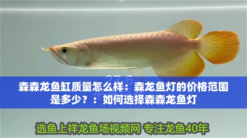 森森龍魚缸質量怎么樣：森龍魚燈的價格范圍是多少？：如何選擇森森龍魚燈